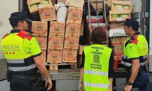 Un control a l'AP-7 a Riudellots acaba amb 132 denúncies per diverses infraccions