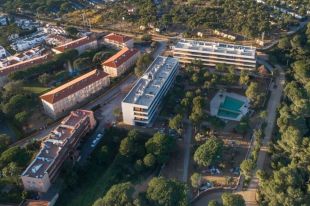 Salvem la Pineda d'en Gori interposa un recurs contra el l'aval judicial a fer-hi dos edificis