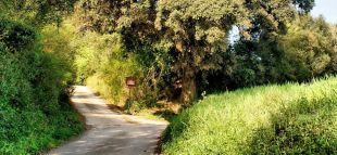 Celrà posa en marxa els tràmits per recuperar l'antic camí que uneix amb Girona per Sant Daniel