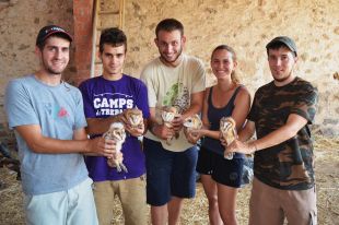Les pluges afavoreixen la reproducció de les òlibes del parc natural dels Aiguamolls de l'Empordà