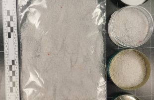 Detinguda a Figueres una dona que volia pagar un pírcing amb ''droga caníbal'' 