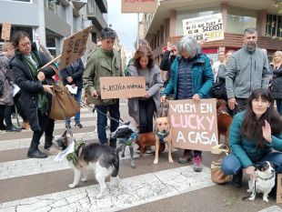 Lex Ànima demana la imputació per robatori i maltractament animal als acusats de furtar el gos de Navata