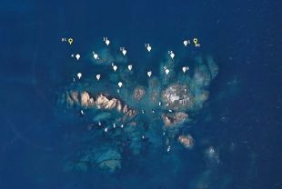 Palafrugell protegeix prats de poidònia amb boies a les illes Formigues i a dues cales