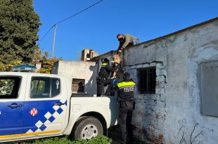 Retiren els 16 gossos que tenia un ocupa que vivia en una casa en ruïnes de Figueres