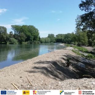 L'ACA drenarà la mota del Ter a Colomers per reconnectar el meandre amb el riu