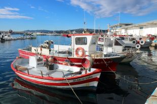 Els pescadors demanen que només s'apliqui la quota de 2025 a qui pesqui
