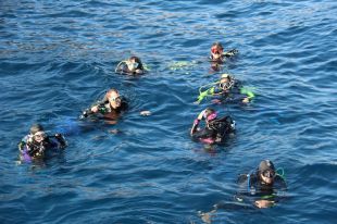 Competència vol fixar un nombre màxim d'immersions al Cap de Creus i no limitar les empreses