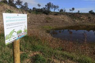Més de 400 pedreres abandonades a Girona tenen potencial per acollir fauna amenaçada