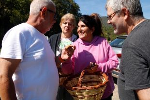 Els Bombers registren la tardor amb més rescats de boletaires dels últims tretze anys