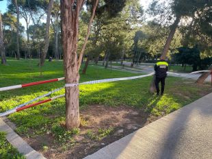 Figueres tanca el Parc Bosc i suspèn les activitats a l'aire lliure pel fort vent