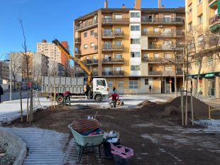 Salt planta 33 nous arbres en el marc de les obres del Bus Ràpid amb Girona