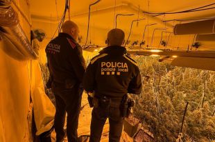 Detingut un home que tenia 230 plantes de marihuana en una casa a Begur