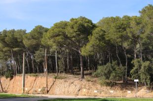 Denuncien la construcció d’un hotel de 66 habitacions a la cala d’Aigua Xelida de Tamariu