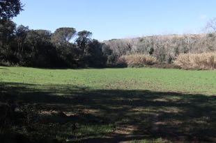 Lloret de Mar demana estudis d'impacte acústic i de mobilitat pel projecte d'heliport