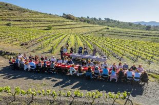 El 12è Vívid commemora la declaració de Catalunya com a Regió Mundial de la Gastronomia
