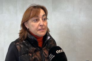 Paneque nega la ''destitució'' de Carmona i diu que només s'ha fet un ''repartiment de tasques''
