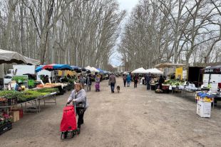 Girona reduirà fins a un 25% les parades del mercat de la Devesa