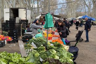 Selva i Alt Empordà lideren l’augment dels afiliats a la Seguretat Social al febrer 