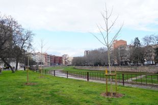 Girona plantarà fins a 582 arbres al llarg d'aquest 2025