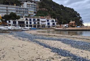 Palafrugell trigarà tres setmanes a netejar les platges de 'barquetes de Sant Pere'