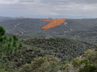 Ecologistes al·leguen contra el projecte que preveu 662 habitatges a Can Sota de Lloret