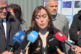 Paneque assegura que és massa d'hora per demanar el seu cessament