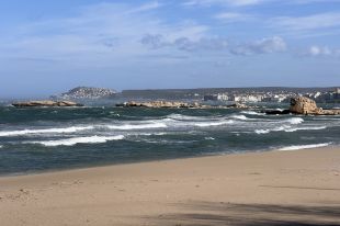 L’Alt Empordà activa el nivell 3 del Pla Alfa per vent i perill molt alt d’incendi