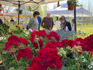 Salt torna a florir amb la 15a edició de la Fira de la Flor i el Planter