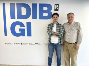 Un estudi de l’IDIBGI vincula un microorganisme intestinal amb una millor funció del cervell