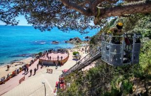 Un pi descalçat obliga a tancar un mirador a Lloret de Mar