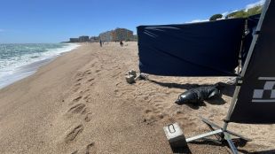 Troben un dofí mort a la platja del passeig de la Marina de Blanes