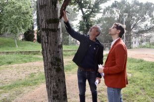Girona eliminarà els arbres malalts als jardins de les Pedreres i en posarà de nous