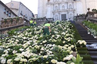 Girona s'omple de vegetació i colors amb els preparatius del Temps de Flors