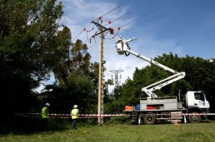 Endesa adapta quaranta torres elèctriques a l'Alt Empordà per protegir la reintroducció de l'ibis ermità