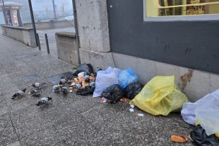 Girona admet disfuncions en la recollida de residus i anuncia mesures de reforç