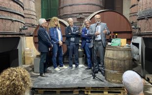 Cau el nombre de cooperatives de vi a l'Alt Empordà de quinze a tres en 50 anys