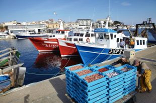 Els pescadors de Palamós reclamen es revisin les restriccions de pesca de la gamba