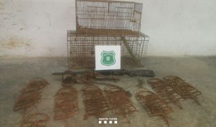 Denuncien una persona per tinença i ús d'arts de caça prohibits