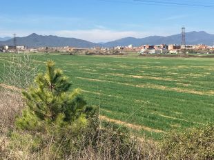 Salt enllesteix l'últim tràmit urbanístic del Campus de Salut
