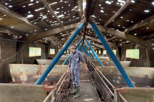 Es fan visibles les destrosses de la pedregada a Santa Pau