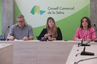 La Selva haurà de produir 2.981,7 GWh amb plaques solars el 2050 per cobrir la demanda