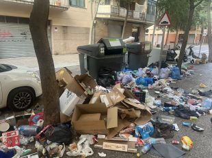 Veïns impulsen una campanya per denunciar els problemes d'escombraries als carrers de Girona