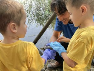 El Consorci de l’Estany allibera 15 tortugues a les llacunes de Can Morgat