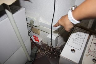 Allau d'empreses que s'ofereixen per acabar amb la plaga de rates a l'Audiència de Girona 