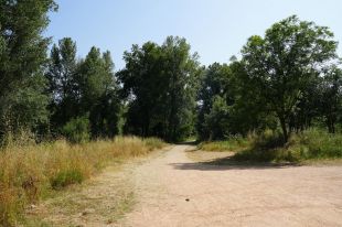 Girona millorarà la via verda a les hortes de Santa Eugènia i el camí fluvial del Ter