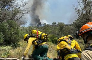Extingit l'incendi a Cadaqués que ha cremat 14,5 hectàrees de vinyes