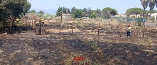 Extingit un incendi de vegetació a Mollet de Peralada