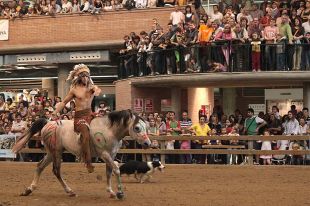 La fira Equus tornarà a situar Girona com a punt de referència per al món del cavall