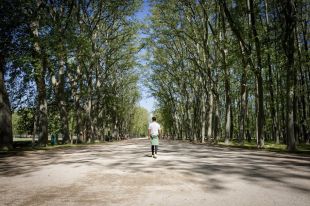 Girona invertirà més de 600.000 euros en preservar els arbres històrics i l'enjardinament de la Devesa