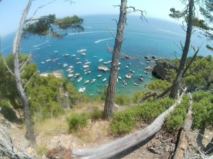 Denuncien una ocupació descontrolada a l'espai marítim protegit de Cap Roig